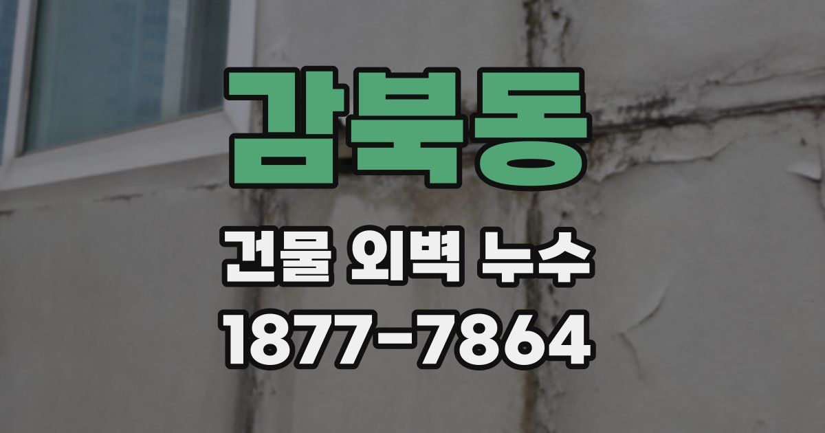 감북동 건물 외벽 누수