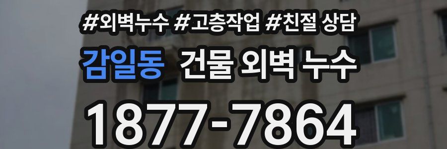 감일동 건물 외벽 누수