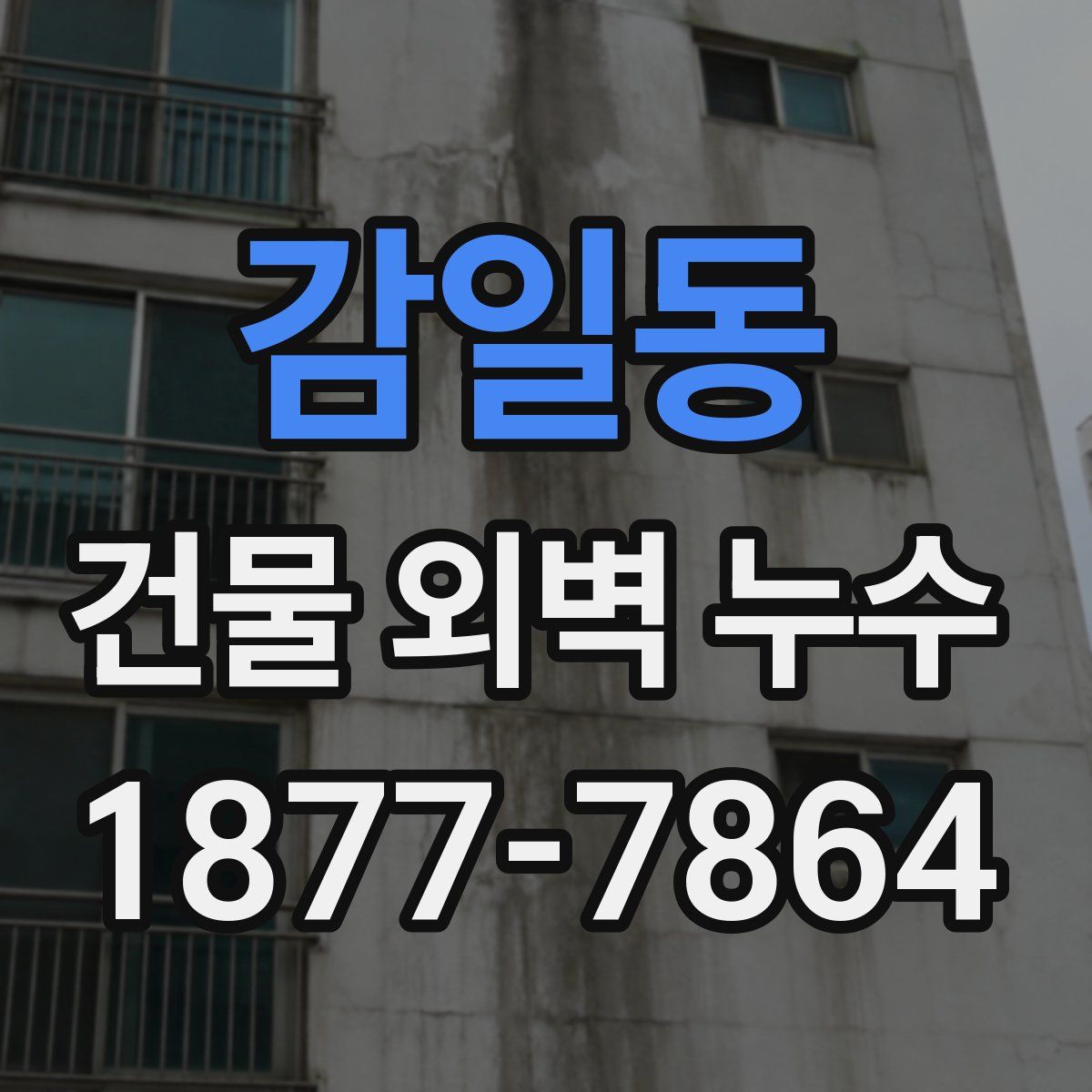 감일동 건물 외벽 누수