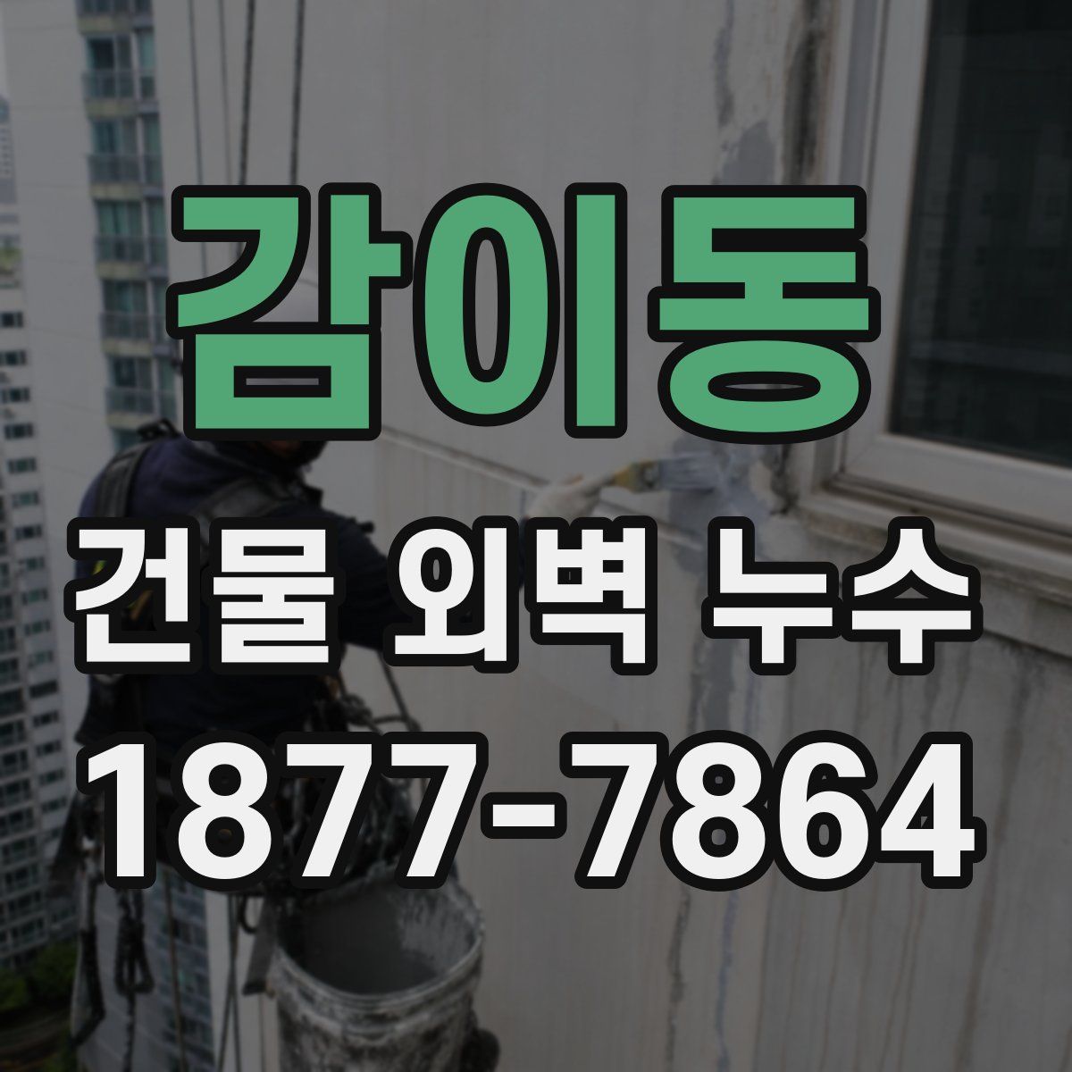 감이동 건물 외벽 누수