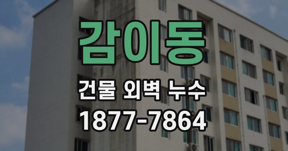 감이동 건물 외벽 누수