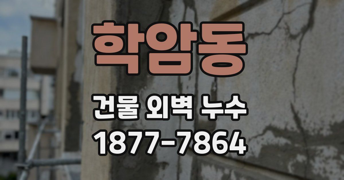 학암동 건물 외벽 누수