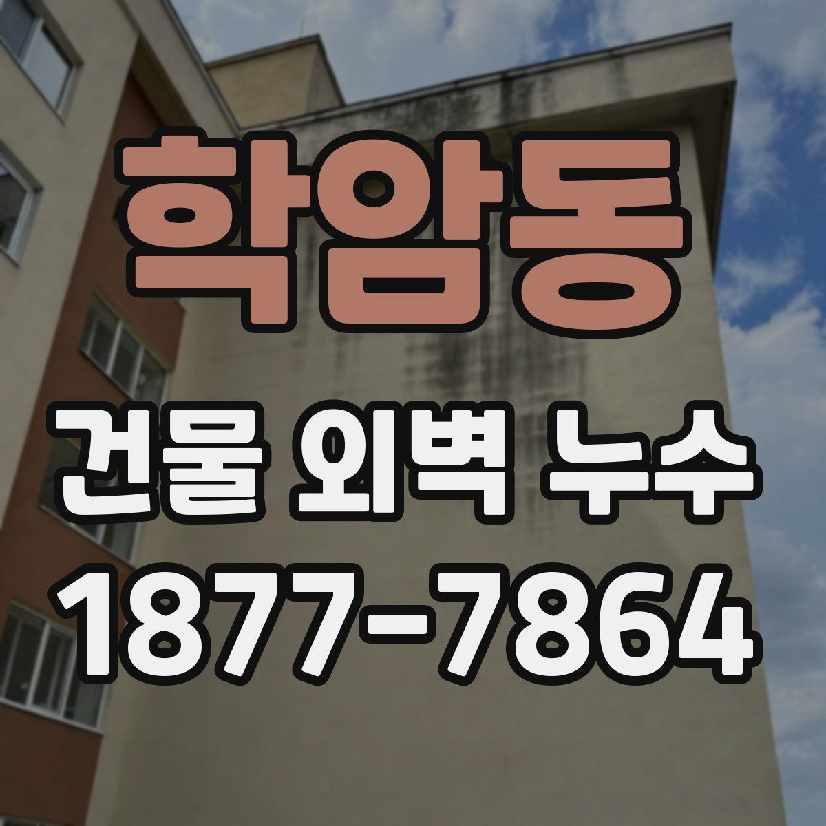 학암동 건물 외벽 누수