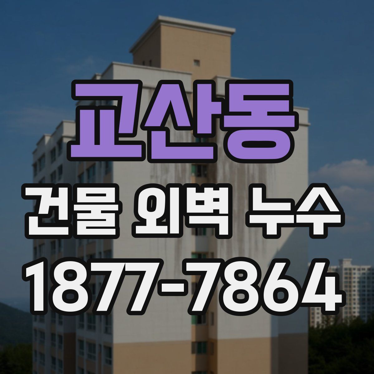 교산동 건물 외벽 누수