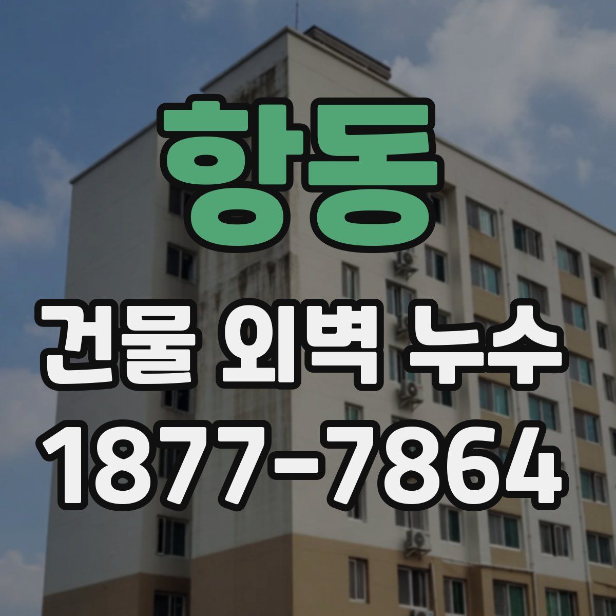 항동 건물 외벽 누수