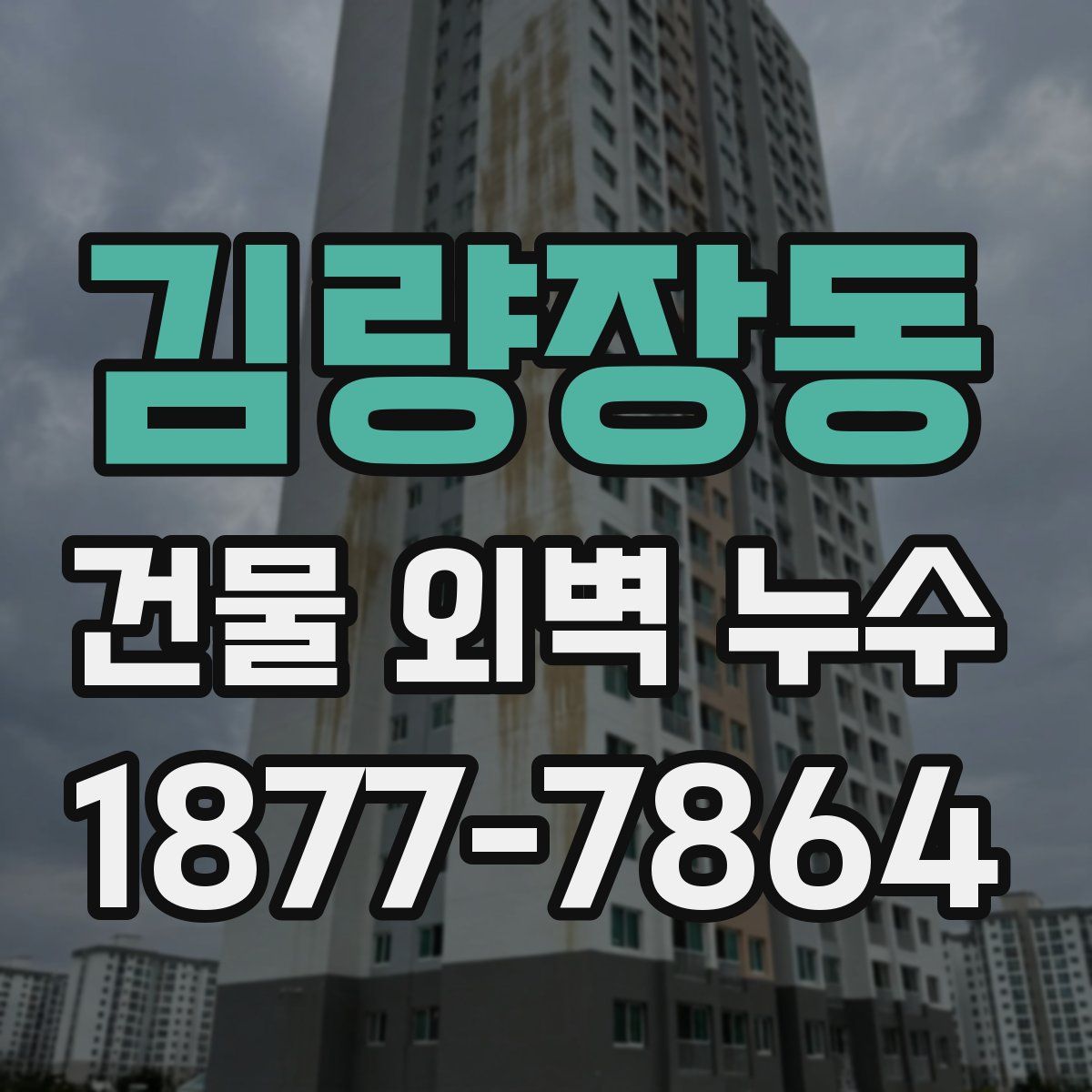 김량장동 건물 외벽 누수