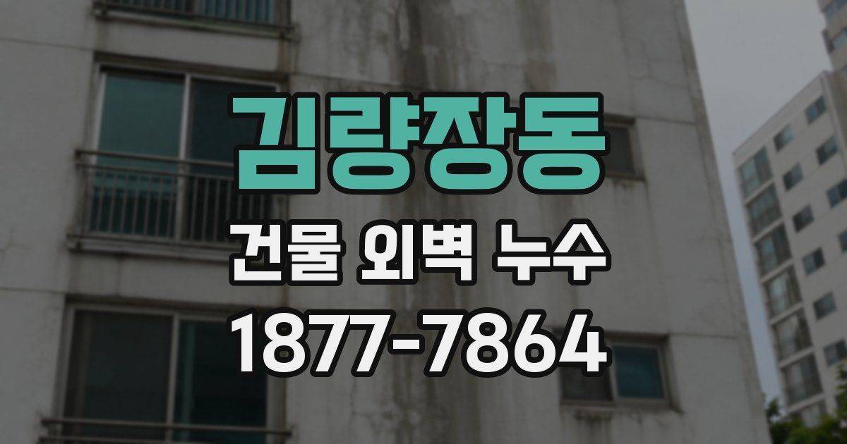 김량장동 건물 외벽 누수