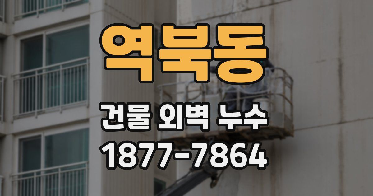 역북동 건물 외벽 누수