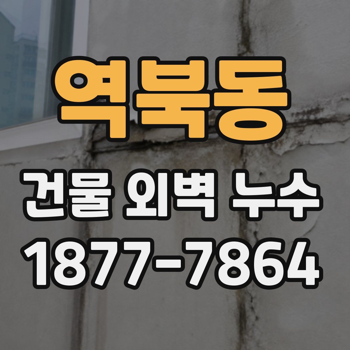 역북동 건물 외벽 누수