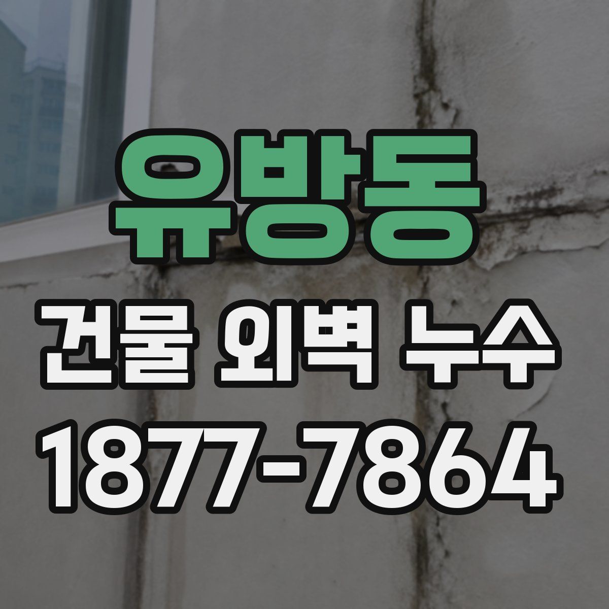 유방동 건물 외벽 누수