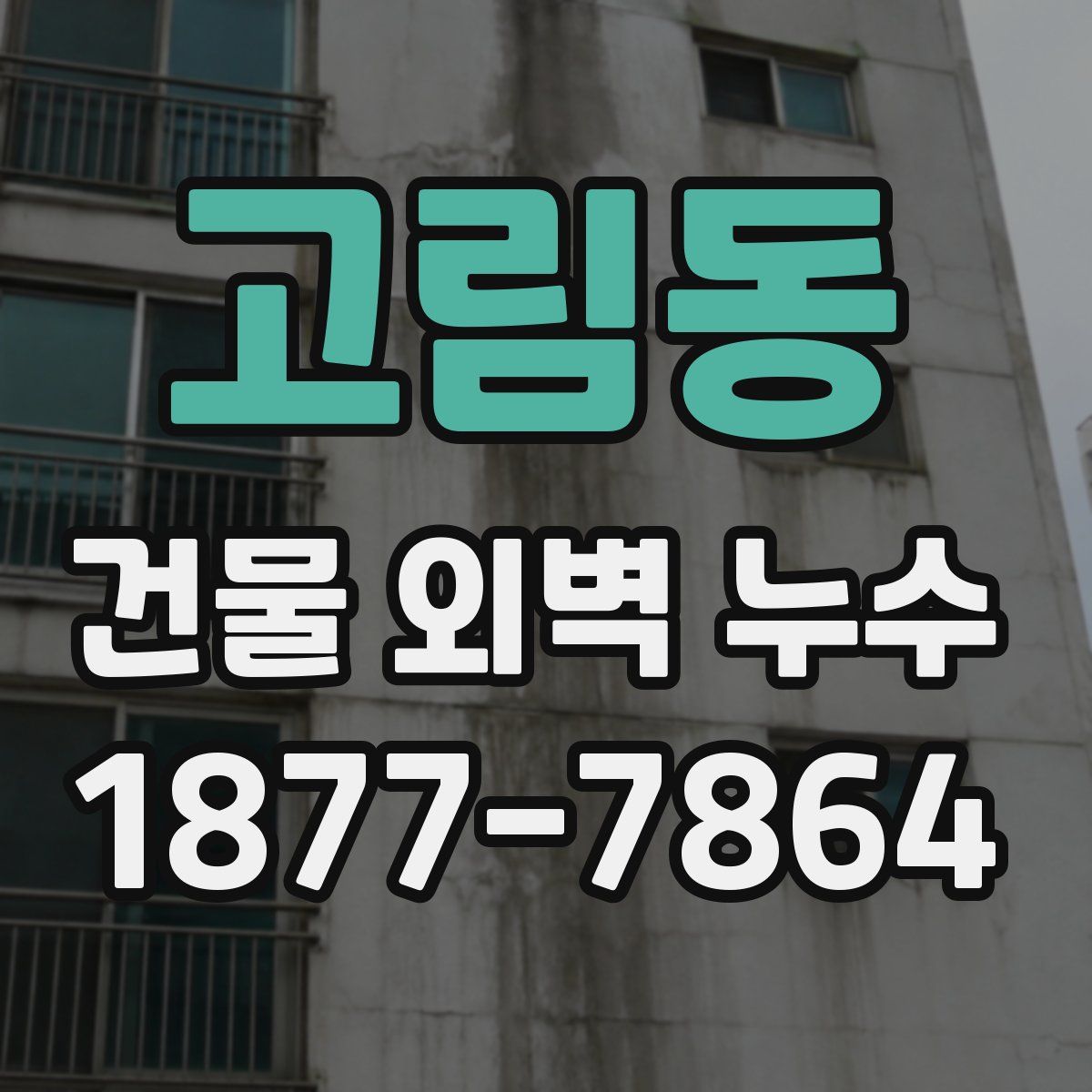 고림동 건물 외벽 누수