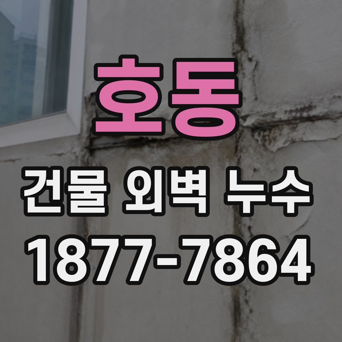 호동 건물 외벽 누수