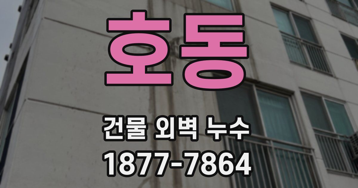 호동 건물 외벽 누수