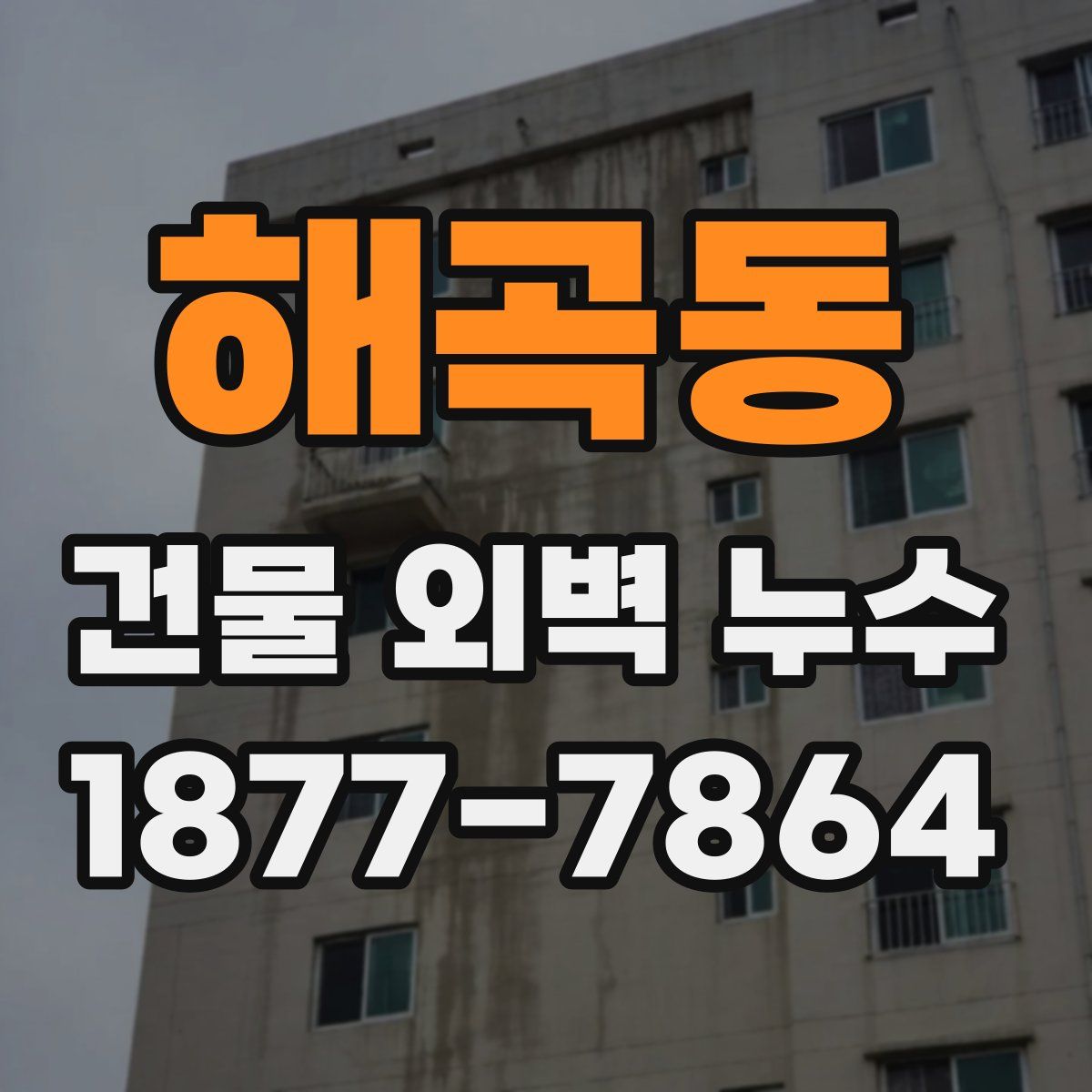 해곡동 건물 외벽 누수