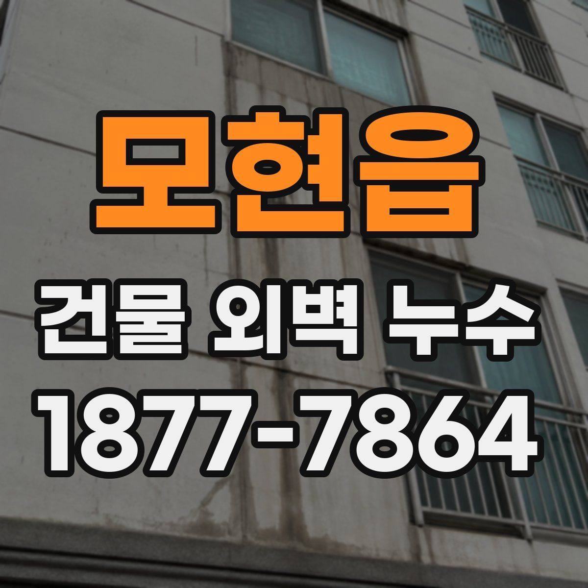 모현읍 건물 외벽 누수