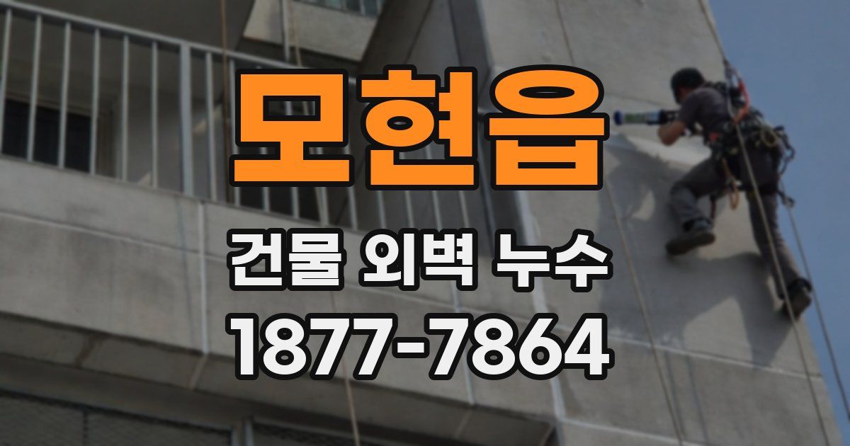 모현읍 건물 외벽 누수