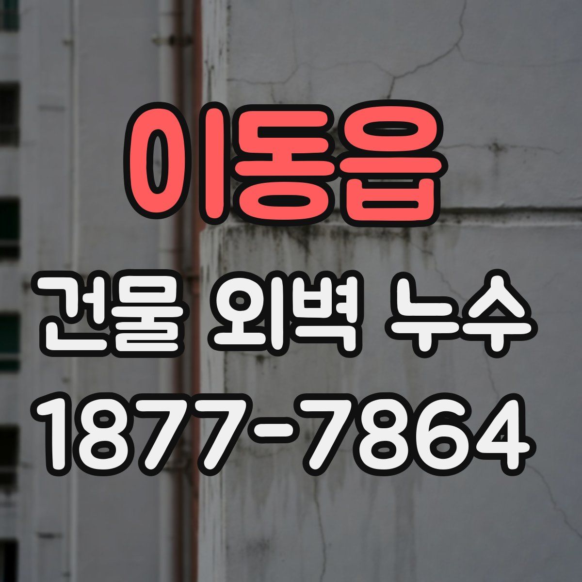 이동읍 건물 외벽 누수