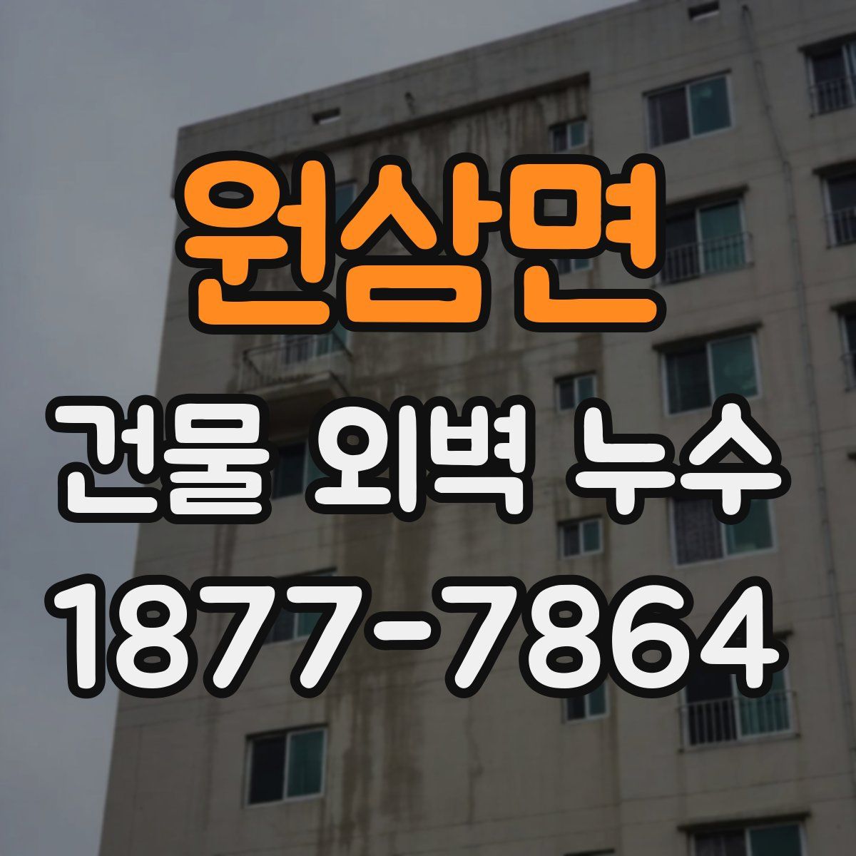 원삼면 건물 외벽 누수