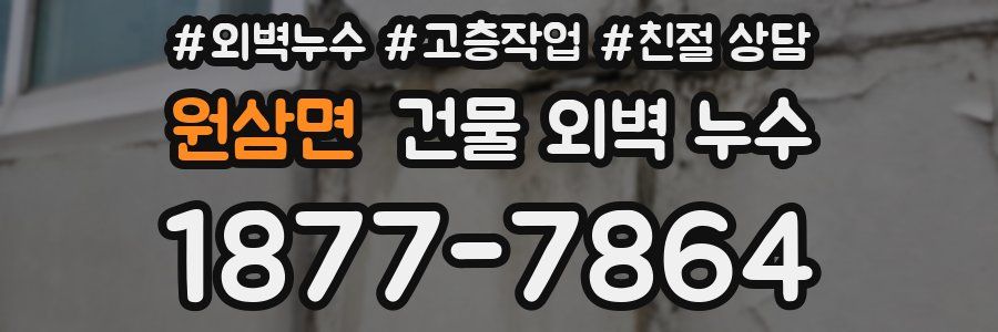 원삼면 건물 외벽 누수