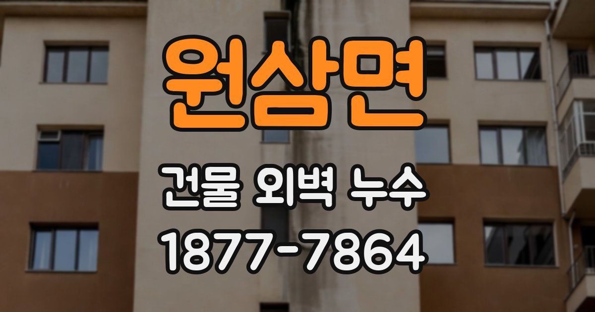 원삼면 건물 외벽 누수
