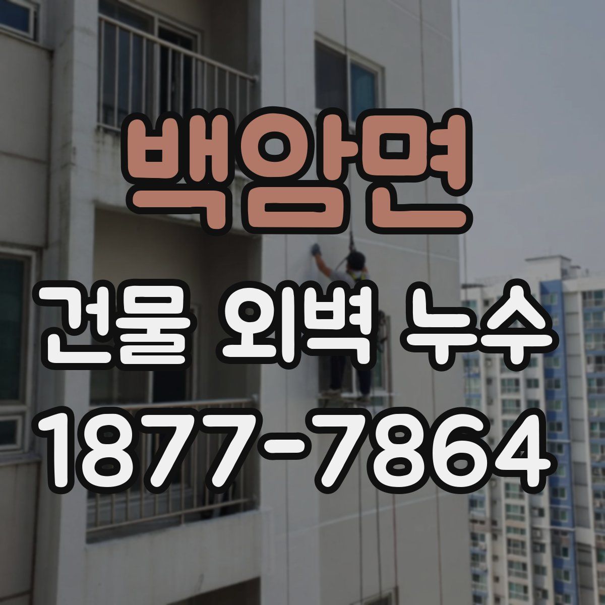 백암면 건물 외벽 누수