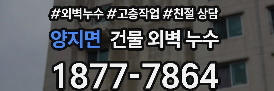 양지면 건물 외벽 누수