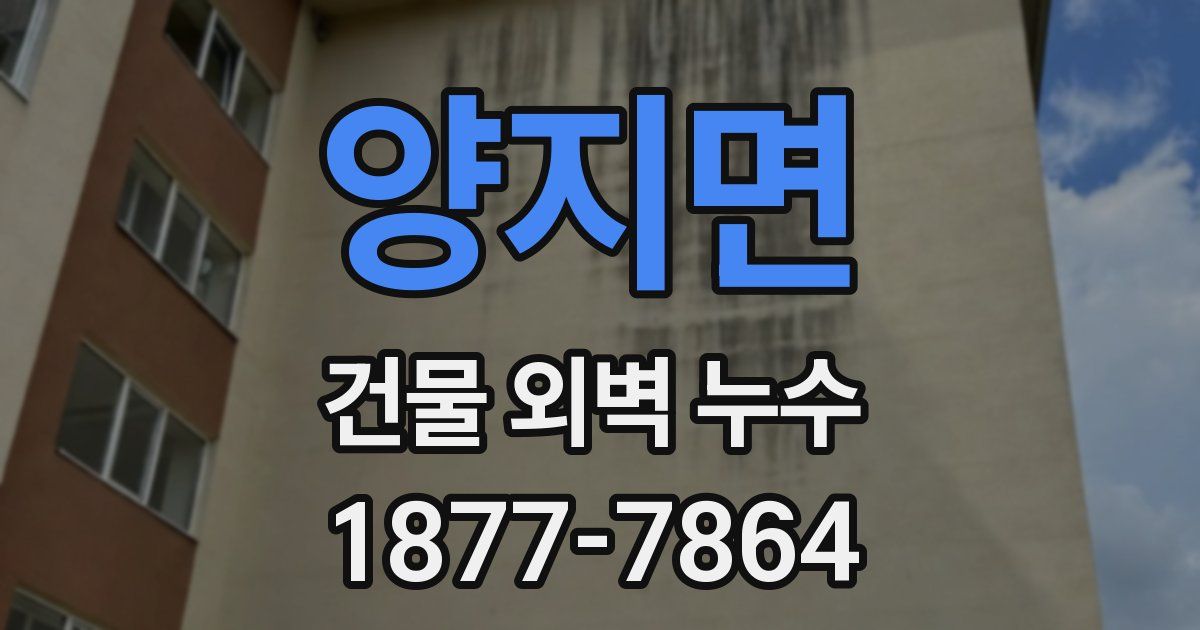 양지면 건물 외벽 누수
