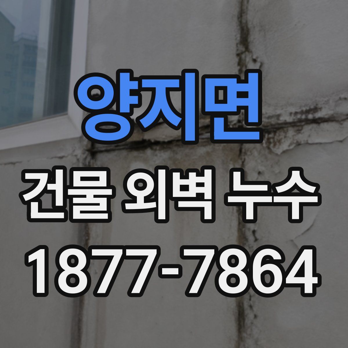 양지면 건물 외벽 누수