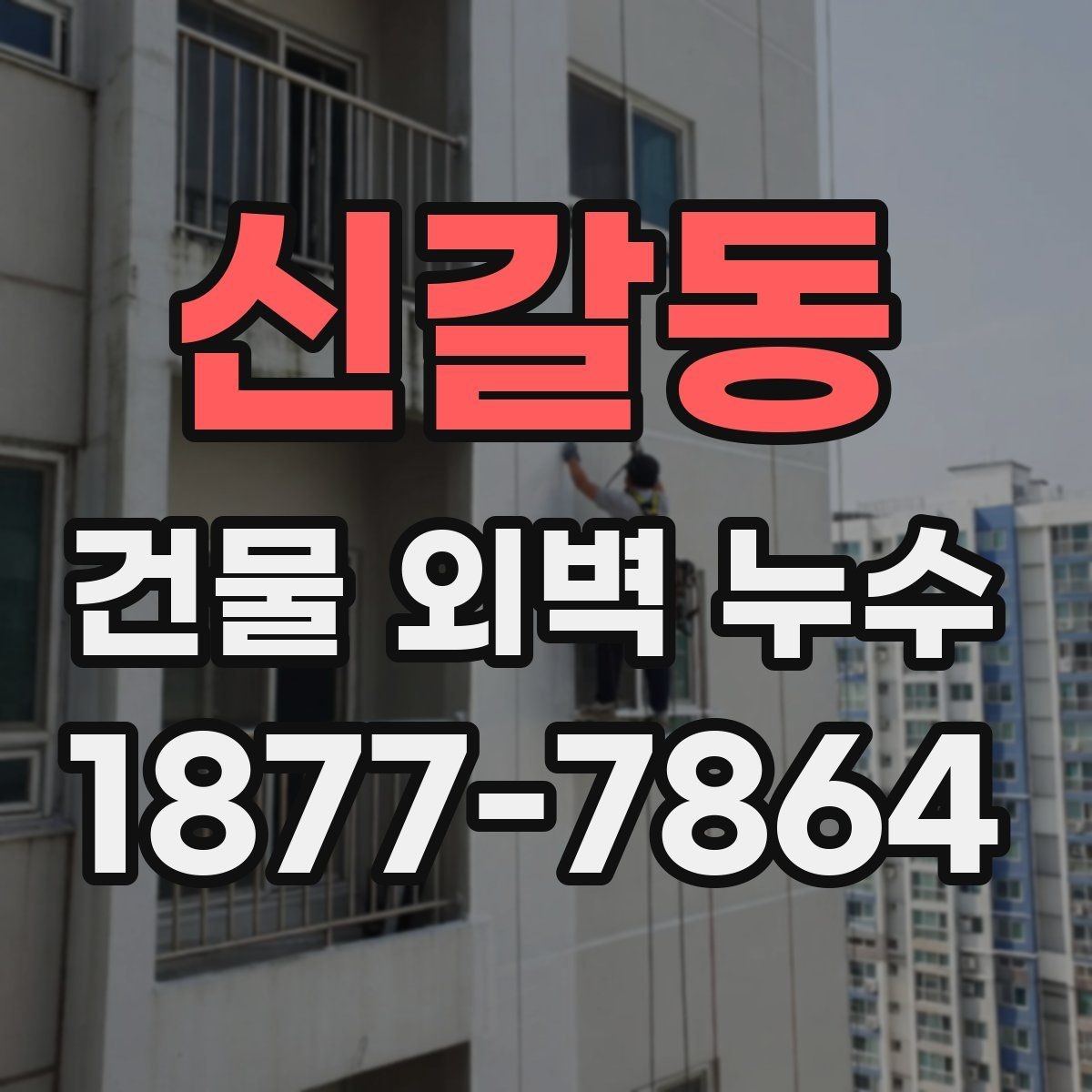 신갈동 건물 외벽 누수 점검 후 결정해야 할 사항