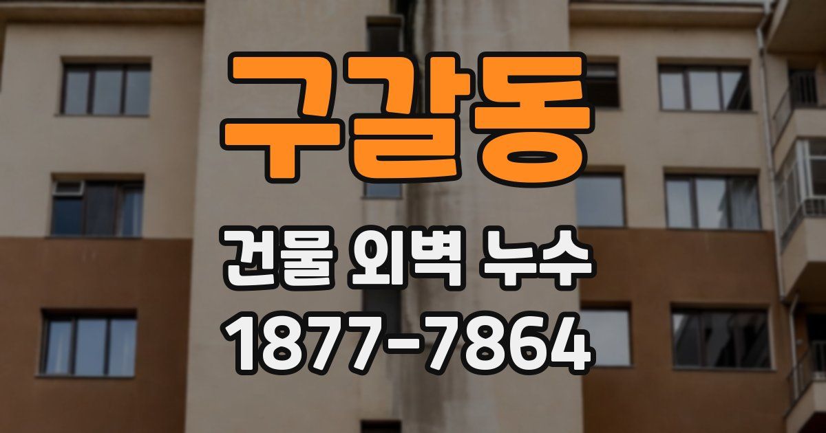 구갈동 건물 외벽 누수
