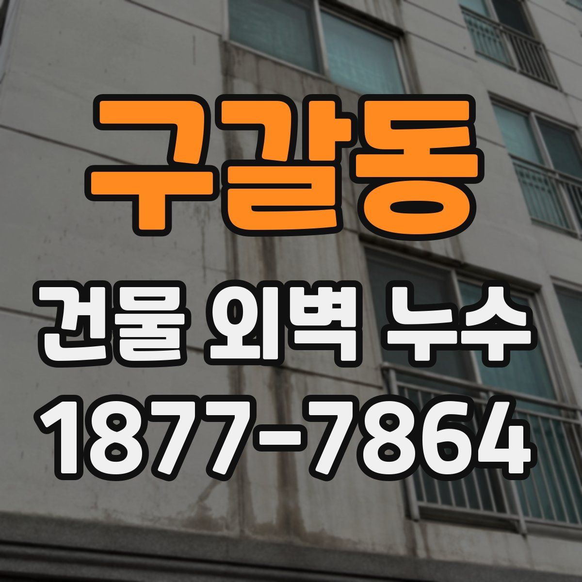 구갈동 건물 외벽 누수