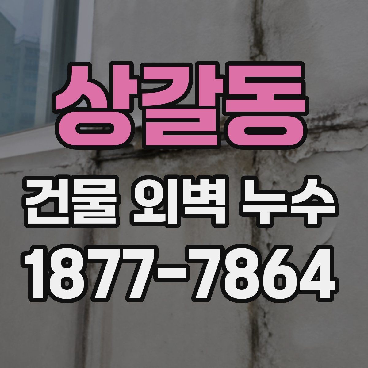 상갈동 건물 외벽 누수 원인 분석은 어떻게 진행될까