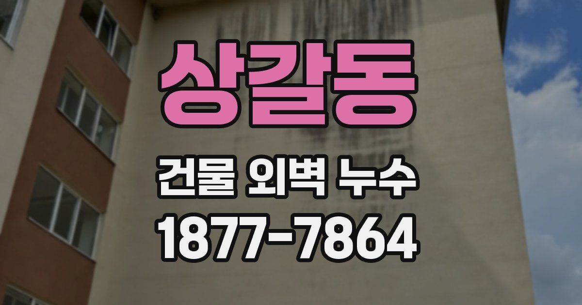 상갈동 건물 외벽 누수