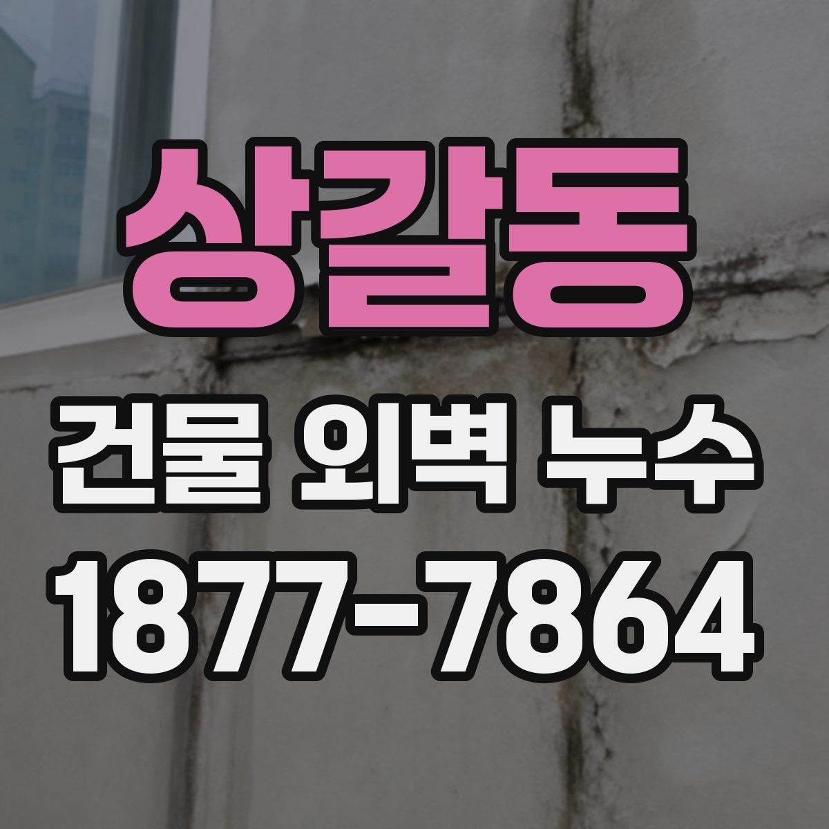 상갈동 건물 외벽 누수