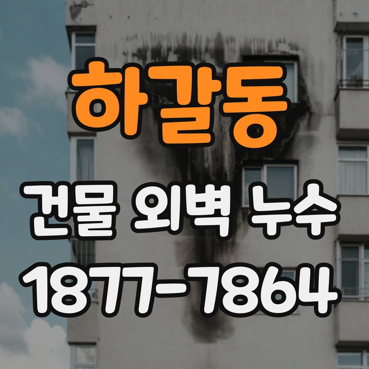 하갈동 건물 외벽 누수
