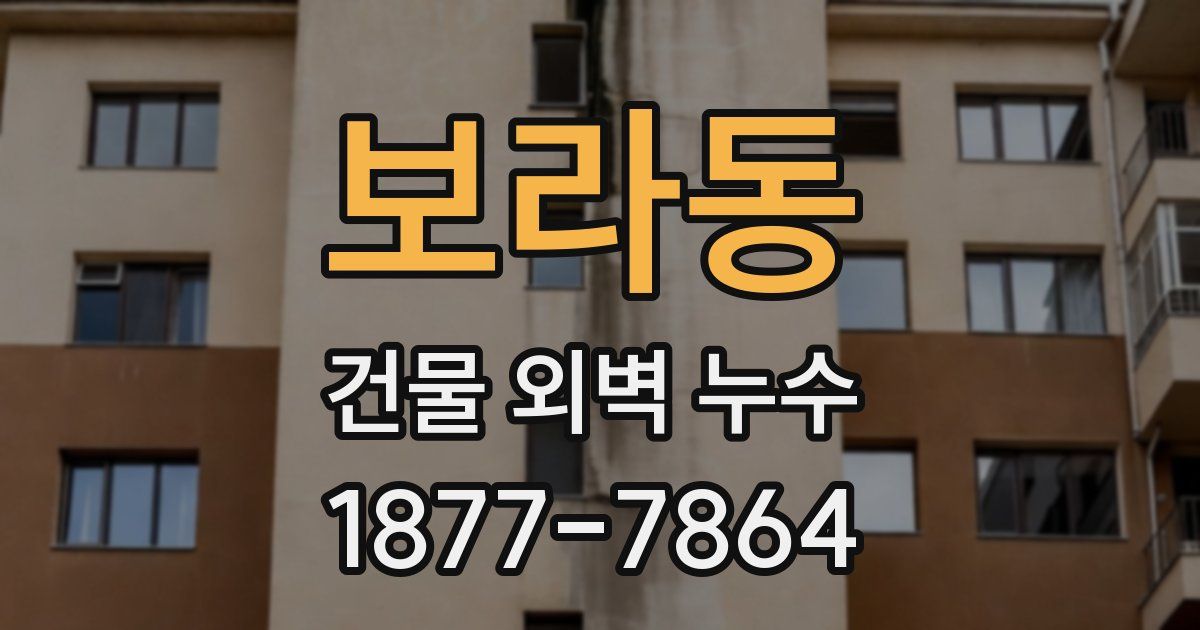 보라동 건물 외벽 누수