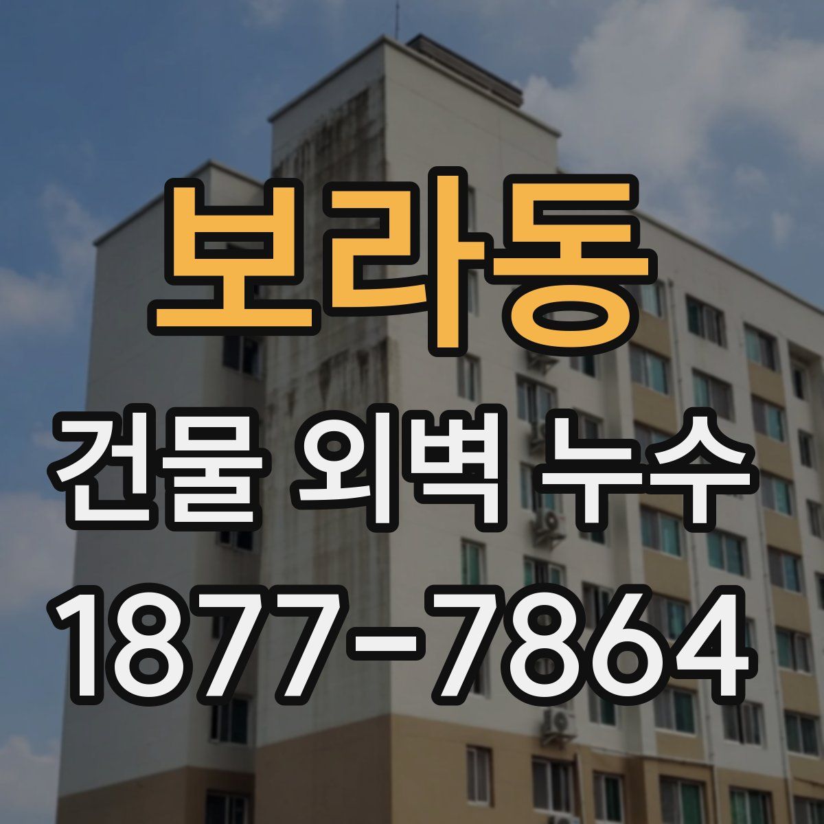 보라동 건물 외벽 누수