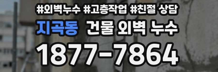 지곡동 건물 외벽 누수