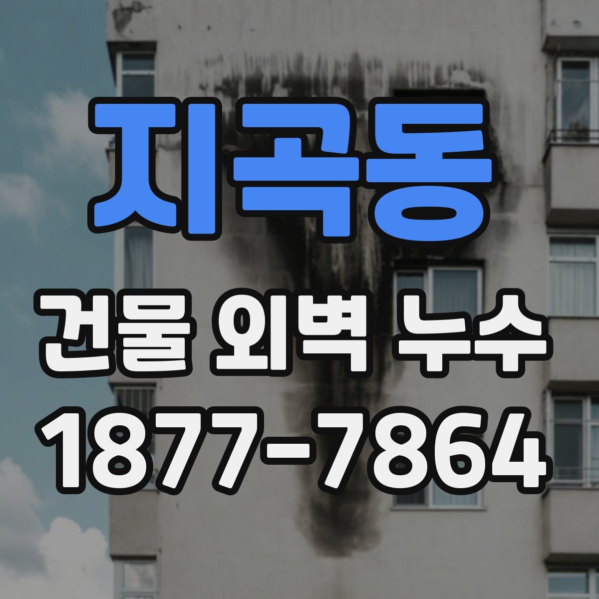 지곡동 건물 외벽 누수