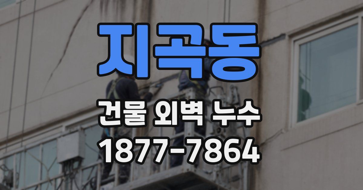 지곡동 건물 외벽 누수