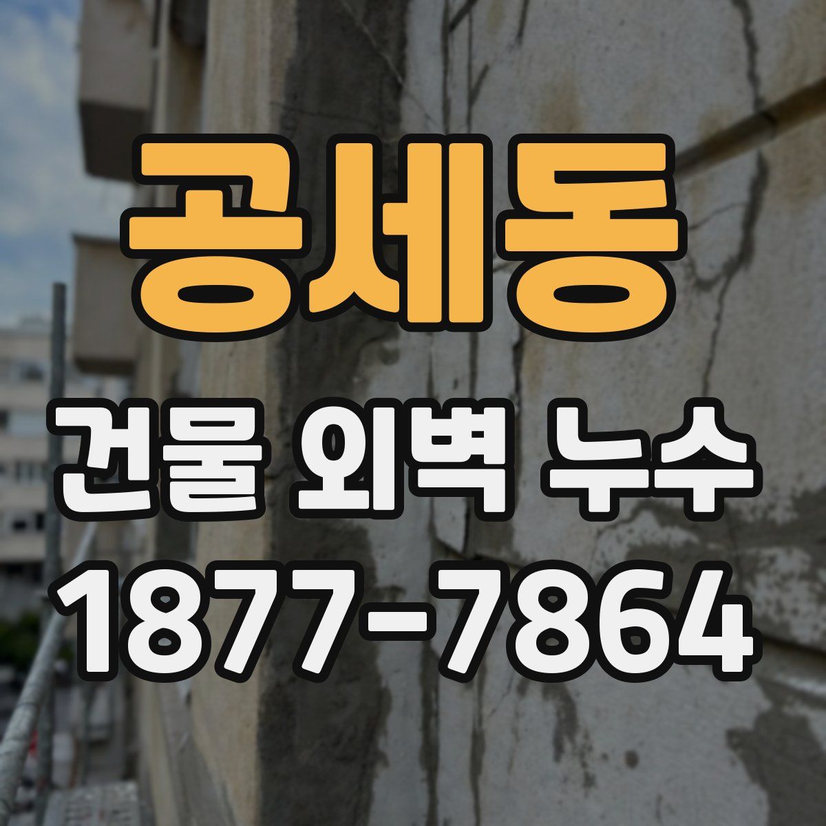 공세동 건물 외벽 누수