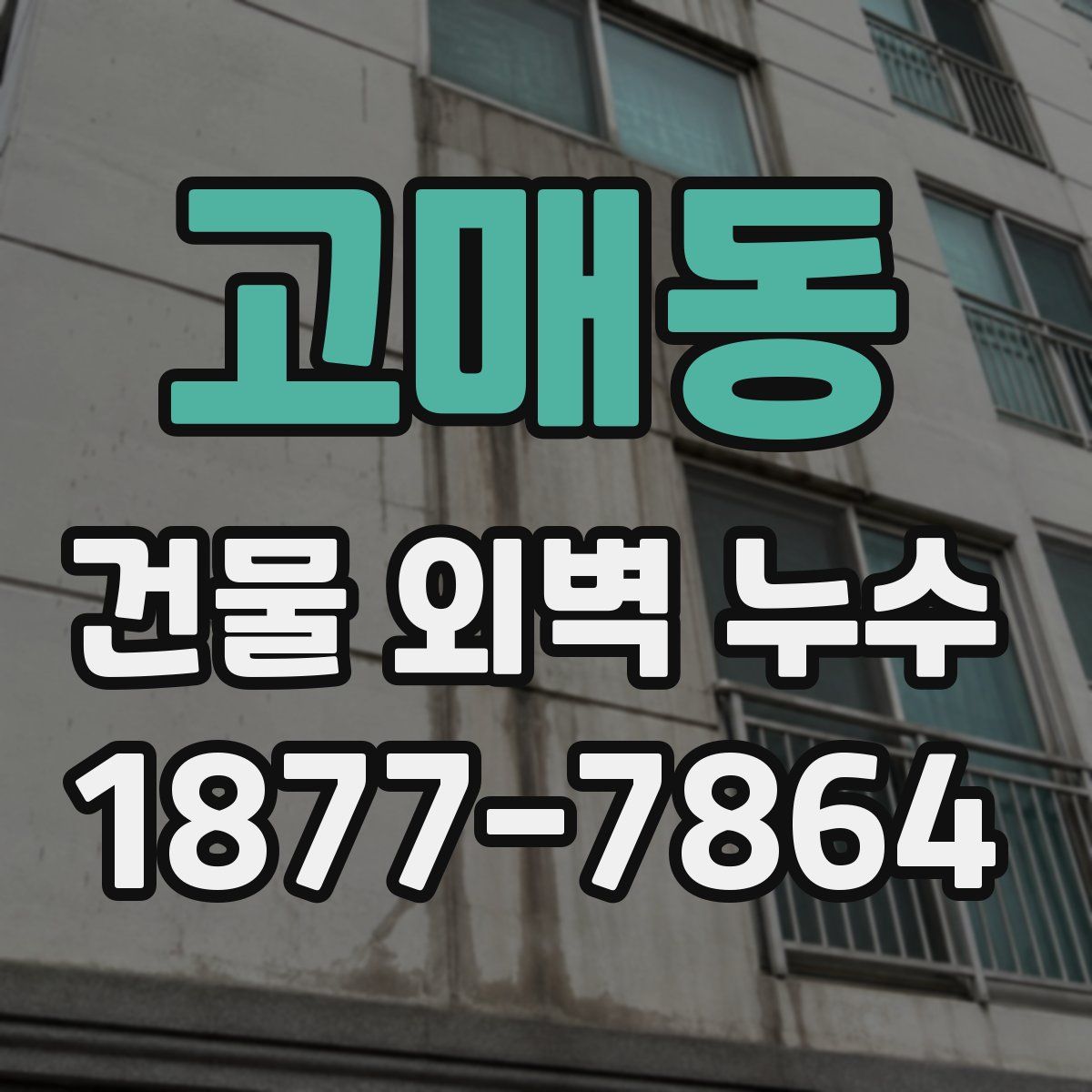 고매동 건물 외벽 누수