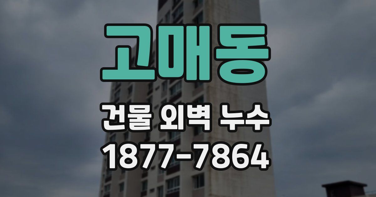 고매동 건물 외벽 누수