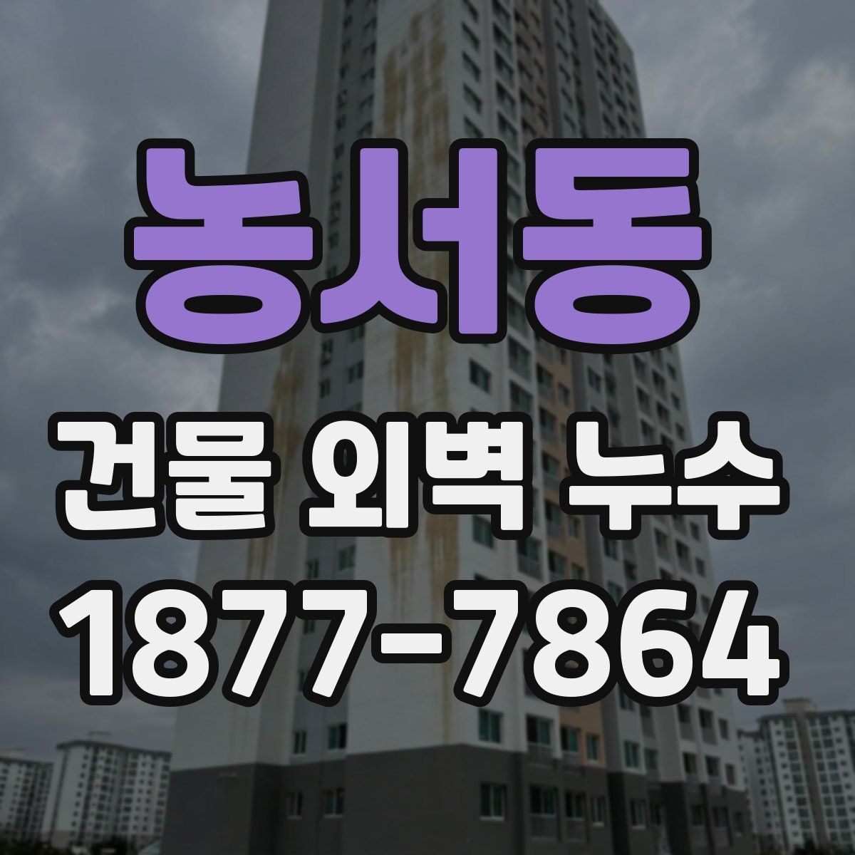 농서동 건물 외벽 누수