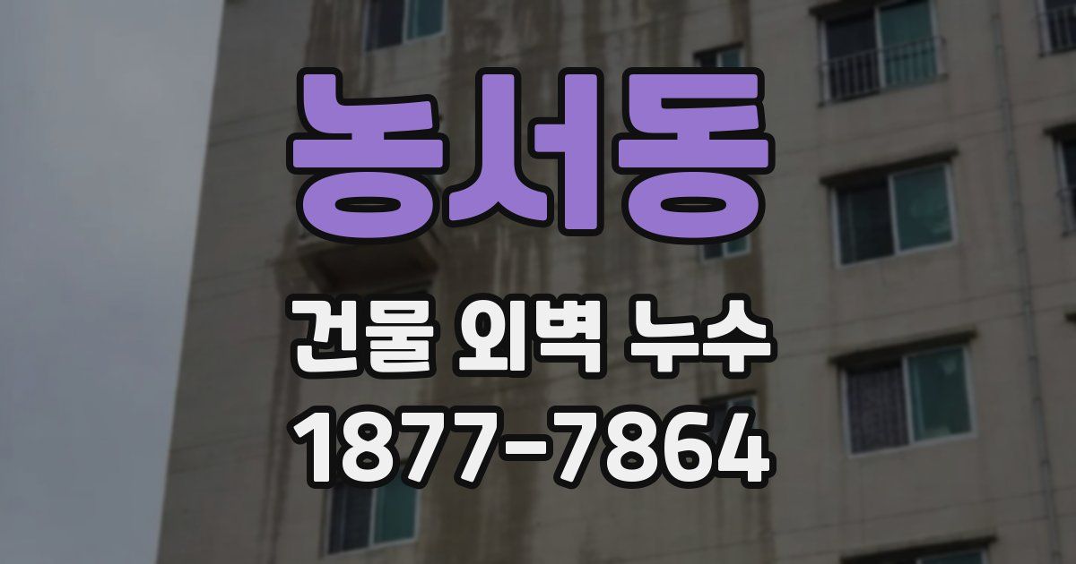 농서동 건물 외벽 누수