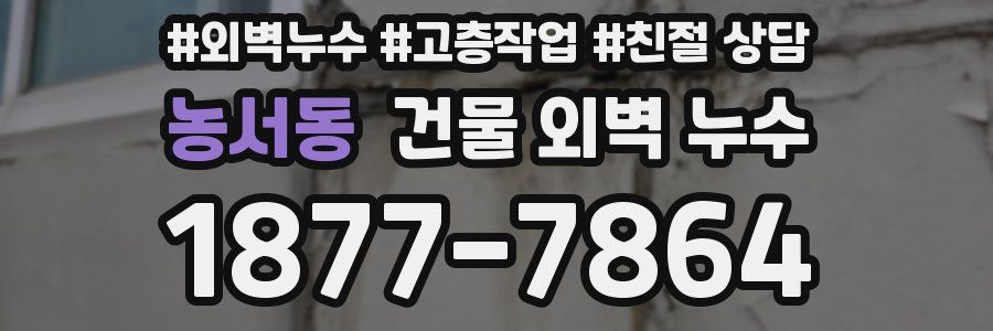 농서동 건물 외벽 누수