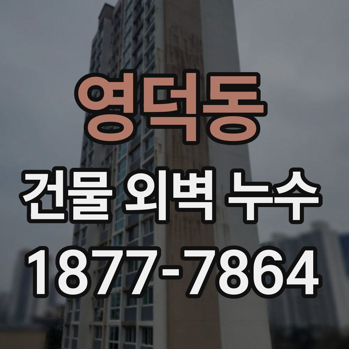 영덕동 건물 외벽 누수