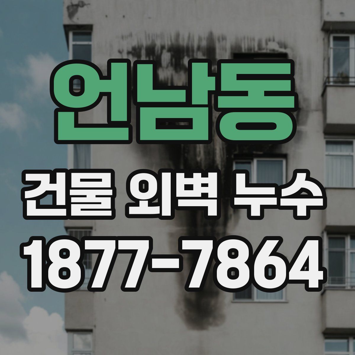 언남동 건물 외벽 누수