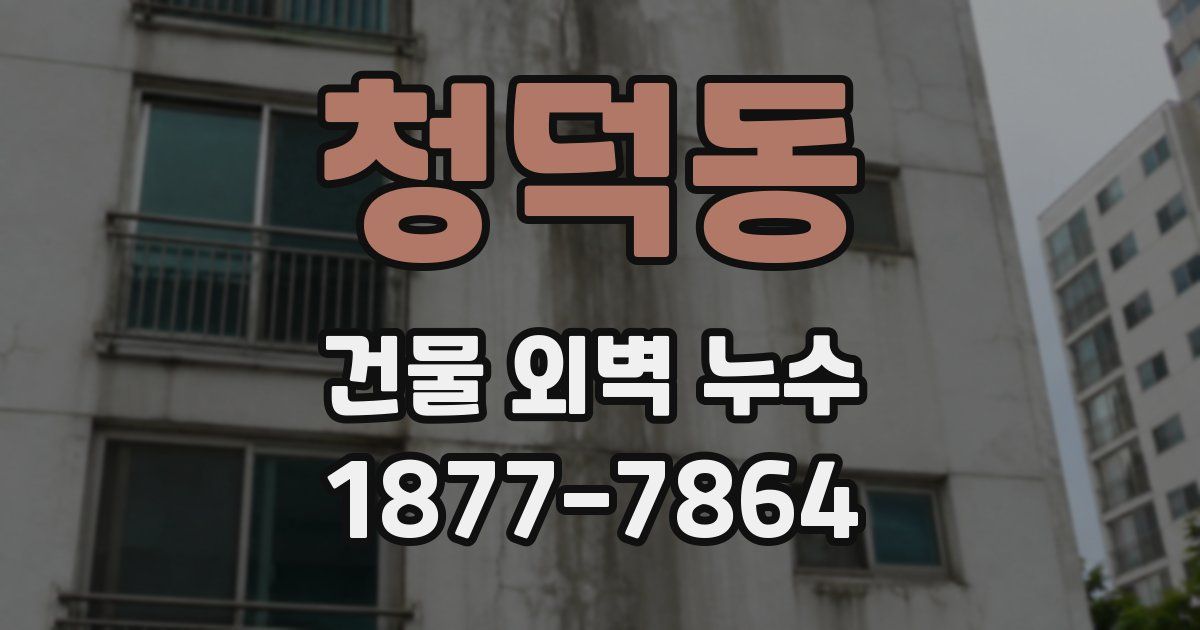 청덕동 건물 외벽 누수