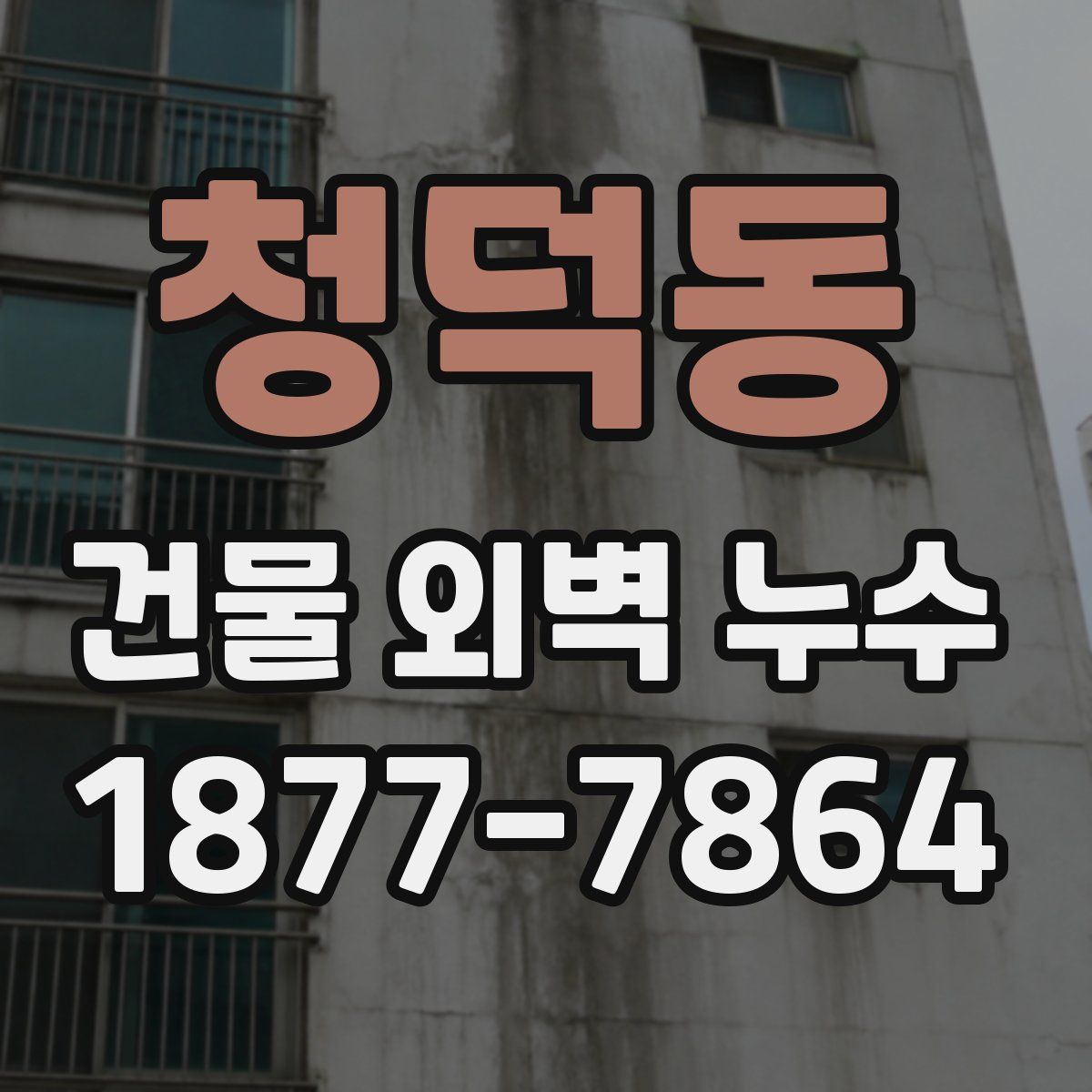 청덕동 건물 외벽 누수